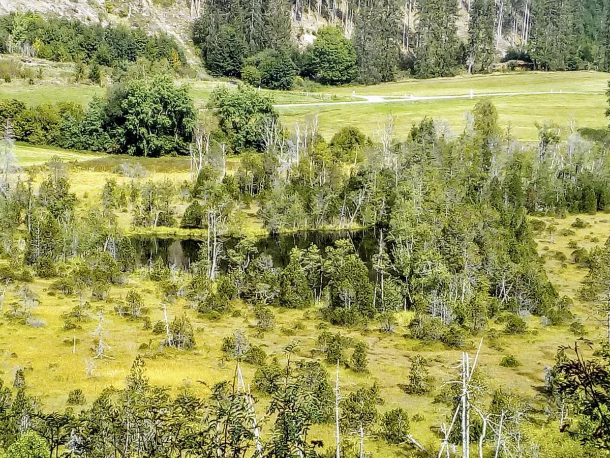 Ferienwohnung Waldrast Lenzkirch Esterno foto