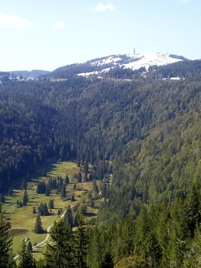 Ferienwohnung Waldrast Lenzkirch Esterno foto